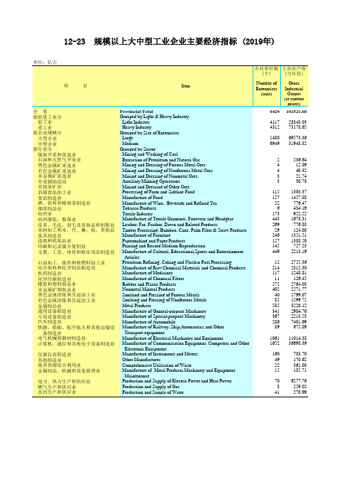 广东省统计年鉴2020社会经济发展指标：12-23  规模以上大中型工业企业主要经济指标2019