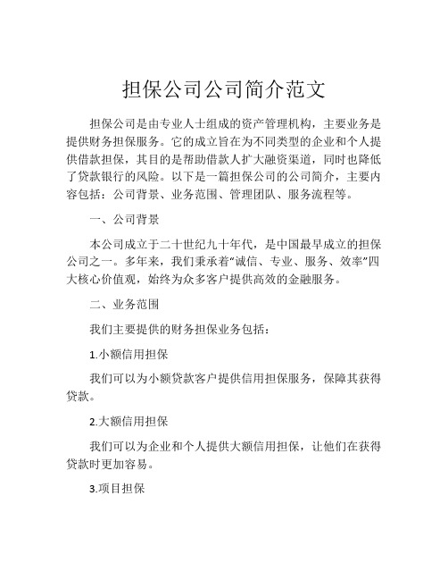 担保公司公司简介范文