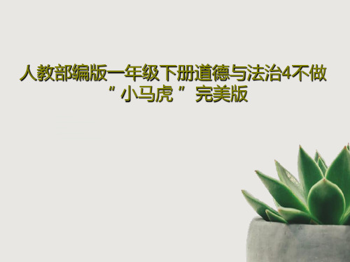 人教部编版一年级下册道德与法治4不做“ 小马虎 ”完美版PPT文档共46页