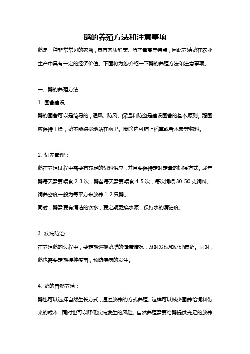 鹅的养殖方法和注意事项