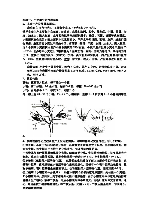 作物栽培学实验整理