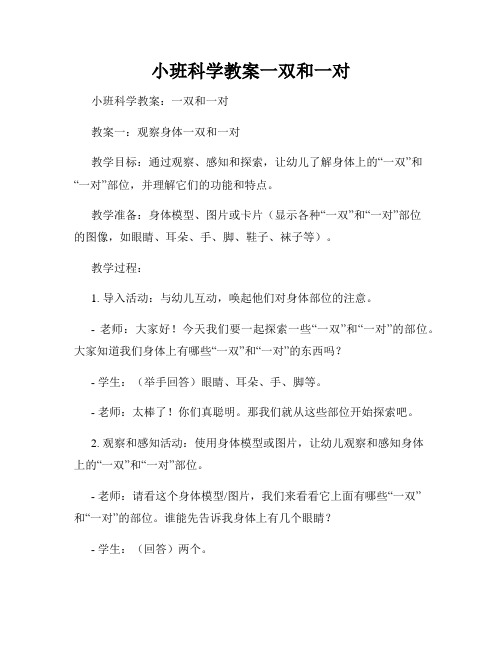 小班科学教案一双和一对