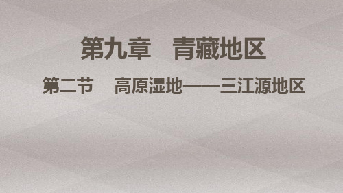 人教版八年级地理下册课件:9.2 高原湿地——三江源地区共15张ppt
