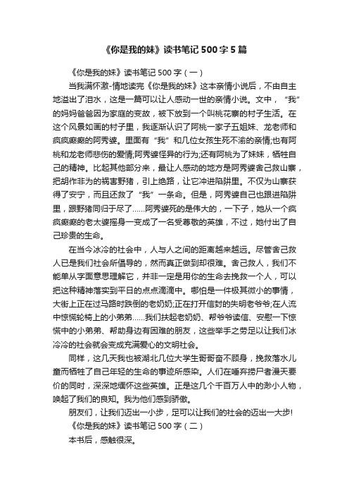 《你是我的妹》读书笔记500字5篇