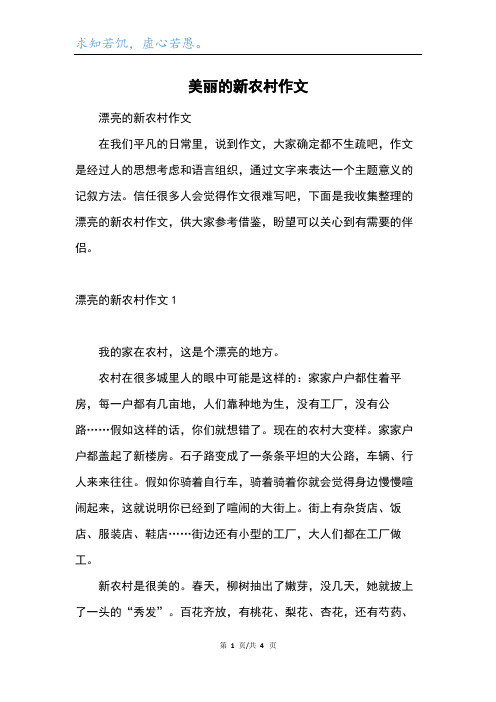 美丽的新农村作文