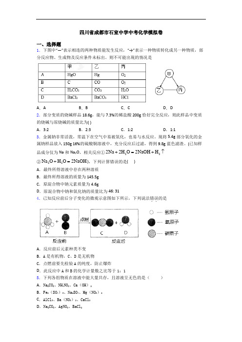 四川省成都市石室中学中考化学模拟卷