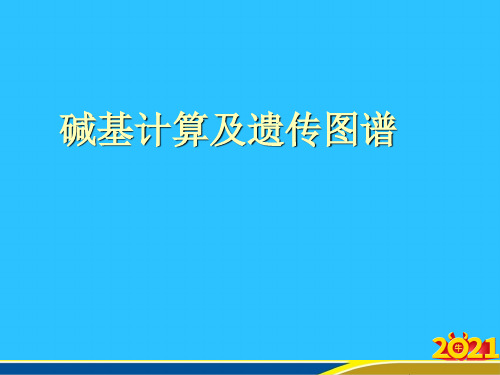 碱基计算及遗传图谱优秀PPT