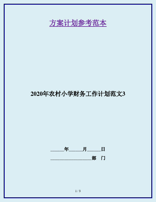 2020年农村小学财务工作计划范文3