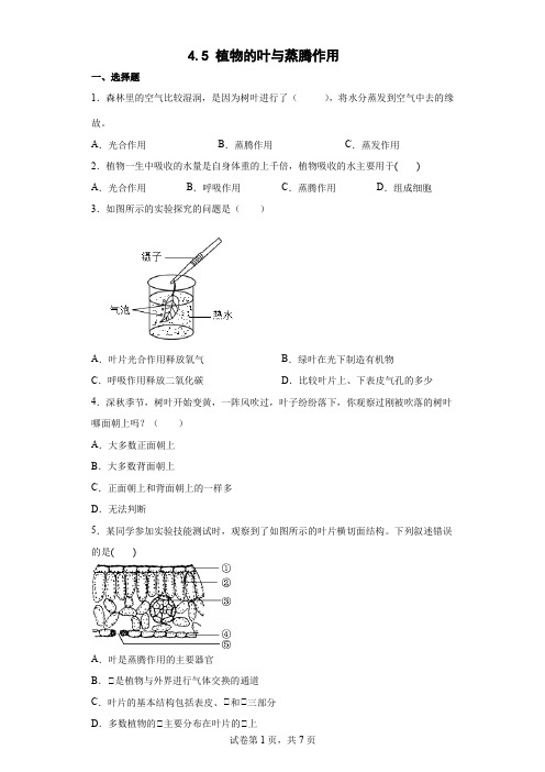 植物的叶与蒸腾作用 基础巩固练习-2021-2022学年八年级科学下册(浙教版)