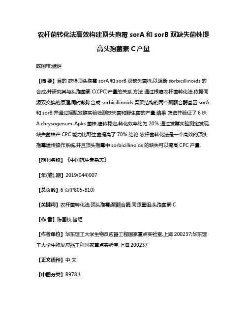 农杆菌转化法高效构建顶头孢霉sorA和sorB双缺失菌株提高头孢菌素C产量