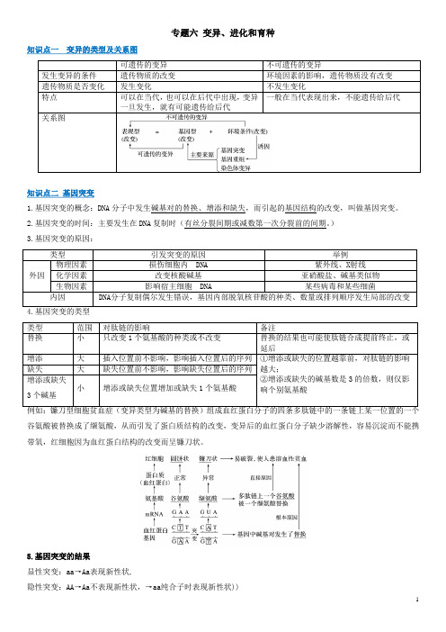 新高考生物必背知识点 专题06 变异 进化与育种