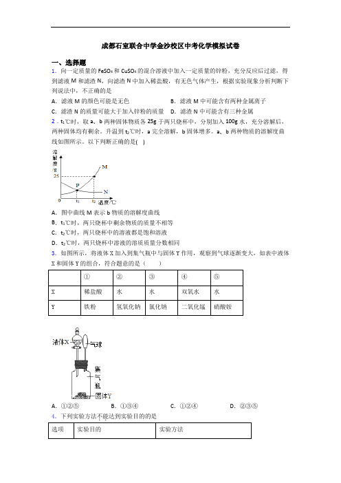 成都石室联合中学金沙校区中考化学模拟试卷