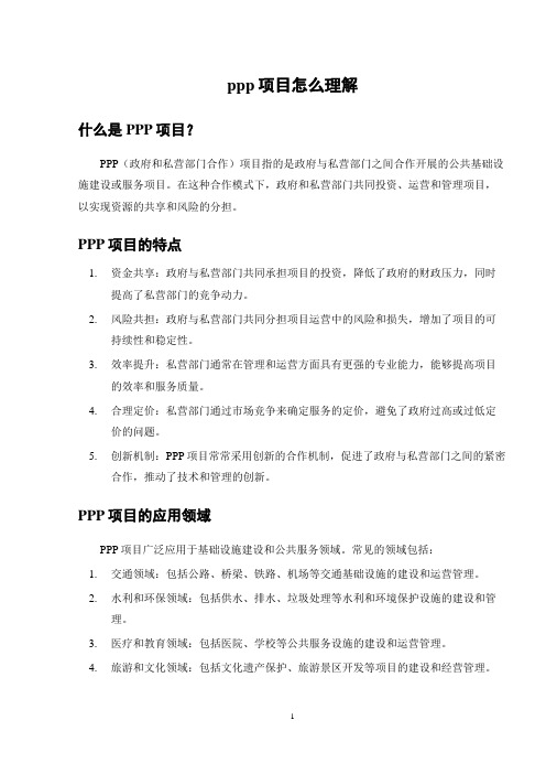 ppp项目怎么理解