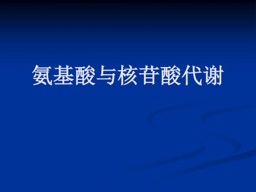 氨基酸与核苷酸代谢