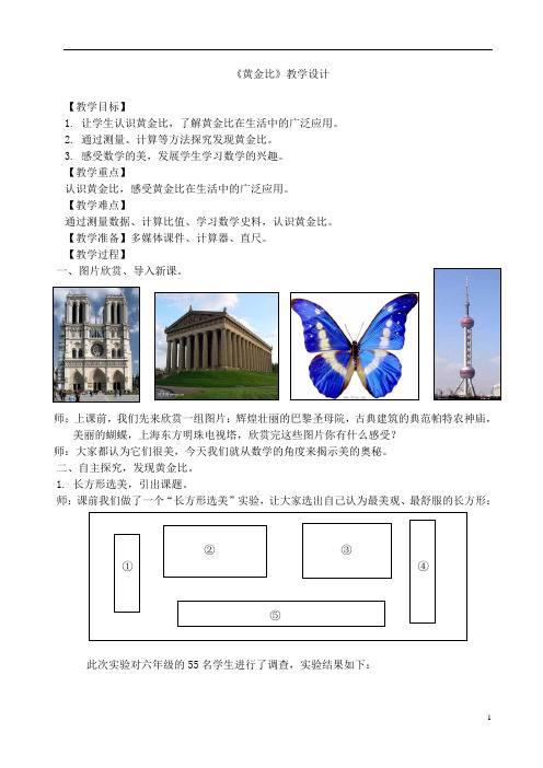 六年级下册数学教案 3.1 黄金比 北京版 (7)