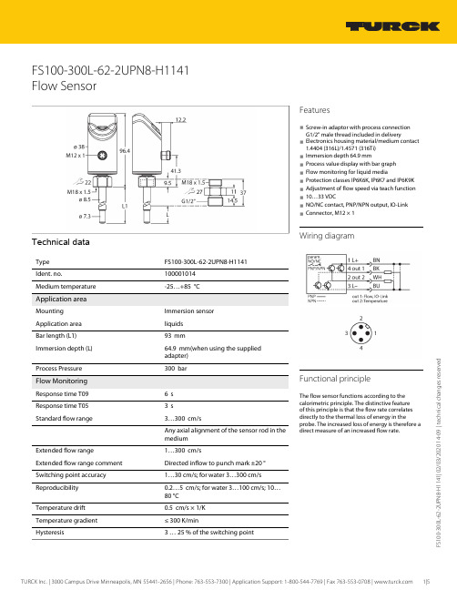 TURCK FS100-300L-62-2UPN8-H1141 流量传感器产品说明书