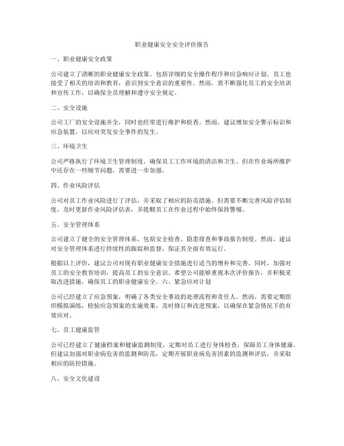 职业健康安全安全评价报告