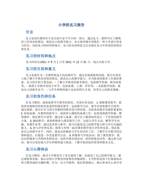 小学的见习报告