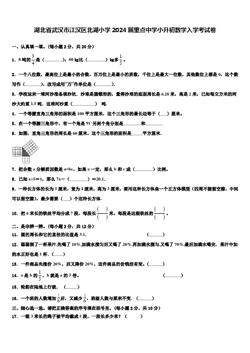 湖北省武汉市江汉区北湖小学2024届重点中学小升初数学入学考试卷含解析