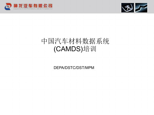 CAMDS软件使用