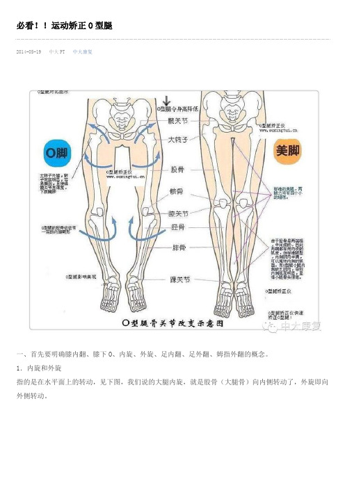 必看!!运动矫正O型腿