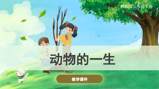 教科版小学三年级科学下册 《动物的一生》原创课件