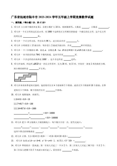 广东省汕尾市陆丰市2023-2024学年五年级上学期竞赛数学试题(含答案)