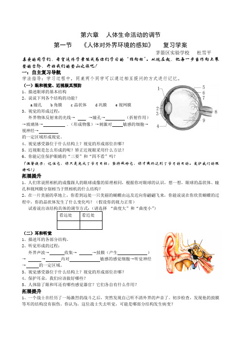 人体对外界环境的感知   复习学案