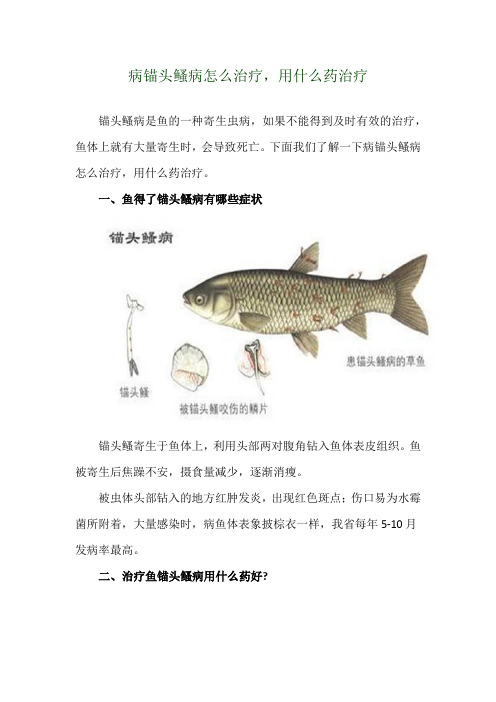 病锚头鳋病怎么治疗,用什么药治疗