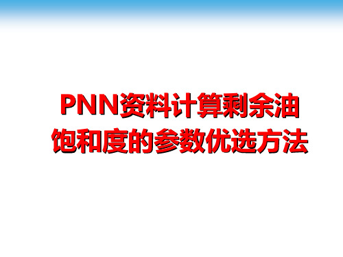 PNN资料计算剩余油饱和度的参数优选方法