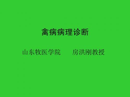 禽病病理诊断