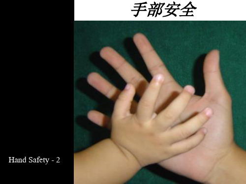 安全培训HAND SAFETY -2line of fire