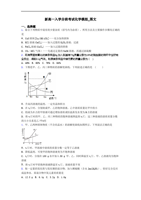 新高一入学分班考试化学模拟_图文