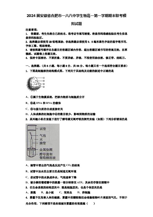 2024届安徽省合肥市一六八中学生物高一第一学期期末联考模拟试题含解析