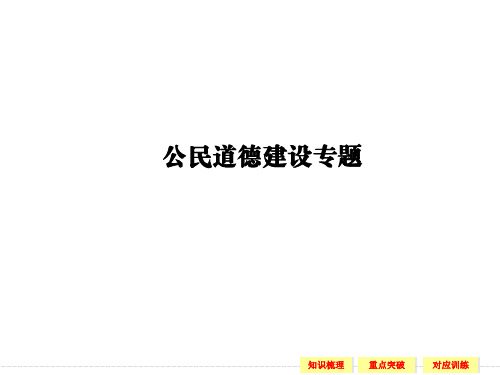 公民道德建设选修专题复习PPT教学课件