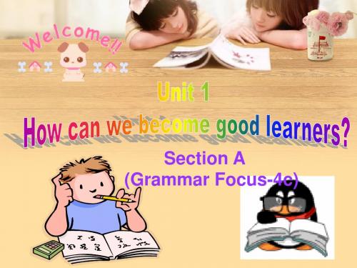 Unit+1+How+can+we+become+good+learners+Section+AGrammar+Focus-4c(共20张PPT)