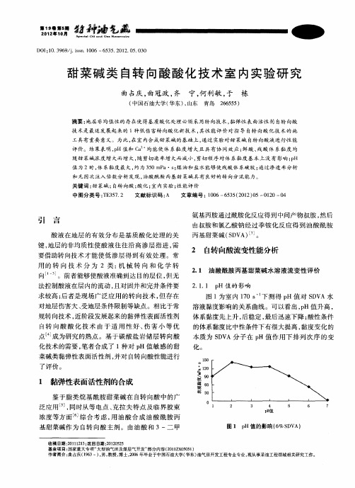 甜菜碱类自转向酸酸化技术室内实验研究