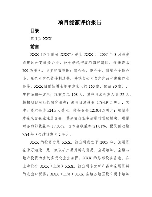 项目能源评价报告