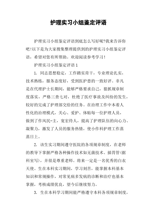 护理实习小组鉴定评语