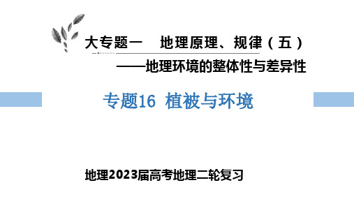 2023届高三地理二轮复习 课件 专题16植被与环境