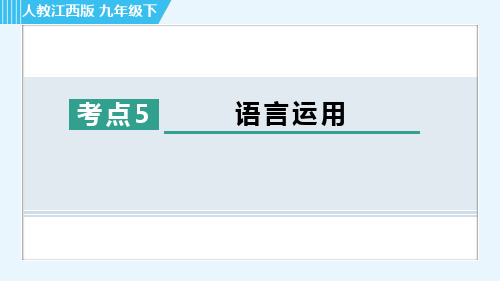 中考语文精选考点《语言运用》