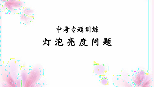 专题训练(一)灯泡亮度问题