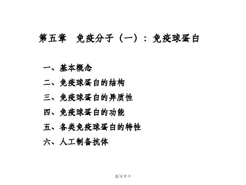 《免疫球蛋白》