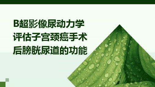 B超影像尿动力学评估子宫颈癌手术后膀胱尿道的功能