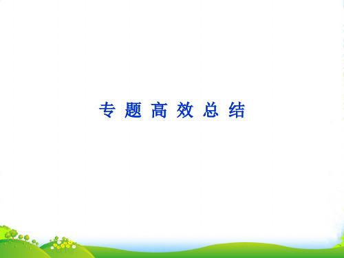 高考历史二轮复习 专题4 古代希腊、罗马的政治文明和近代西方民主政治的扩展课件 人民