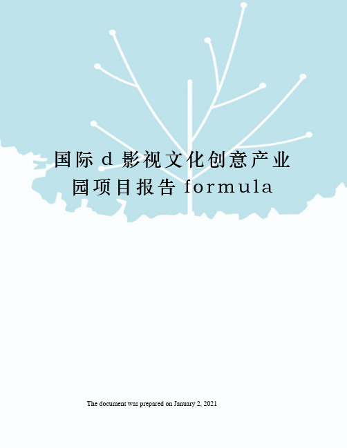 国际d影视文化创意产业园项目报告formula