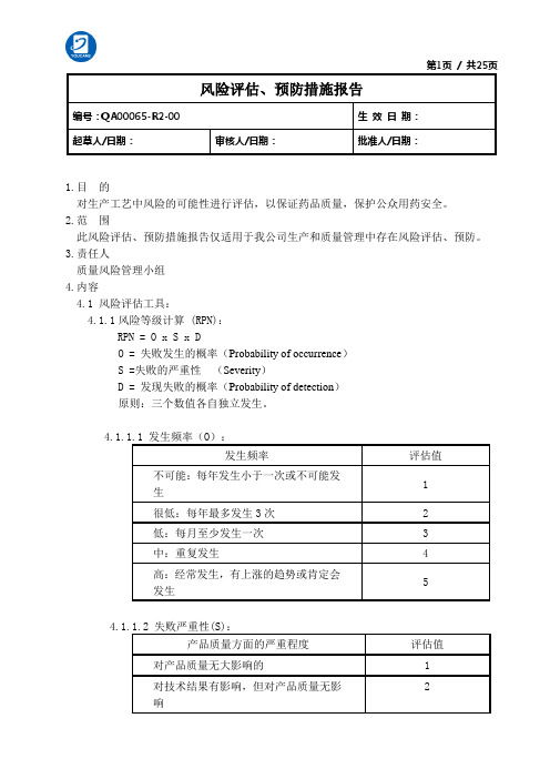 风险评估 预防措施报告