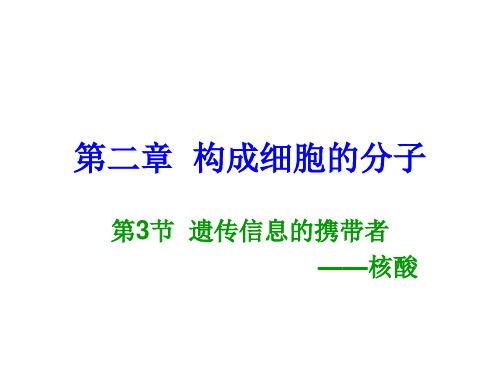 遗传信息的携带者—核酸说课稿