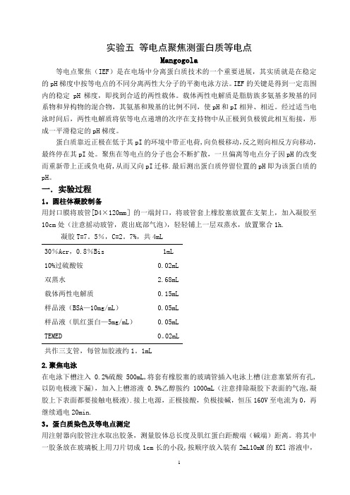 实验五 等电聚焦测蛋白质等电点