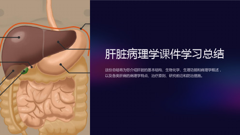 “肝脏病理学课件学习总结”